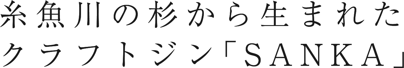 糸魚川の杉から生まれたクラフトジン「SANKA」
